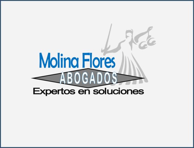 Molina Flores Abogados 2018